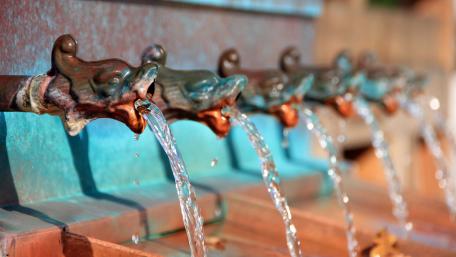 Drinking water wallpaper