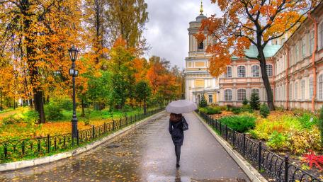 Rainy autumn day wallpaper