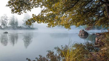 Misty bayou wallpaper