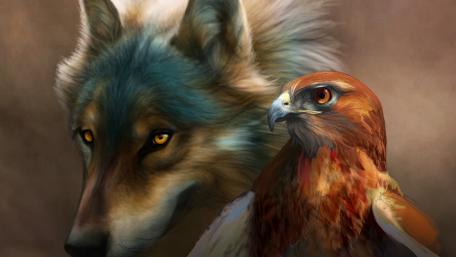 Wolf with hawk drawing wallpaper