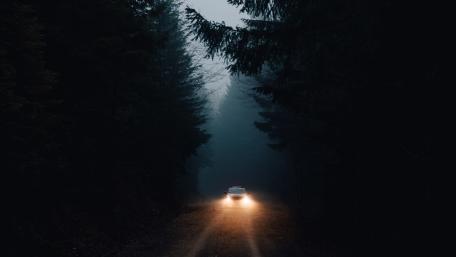 Night Drive Through the Enchanted Forest wallpaper
