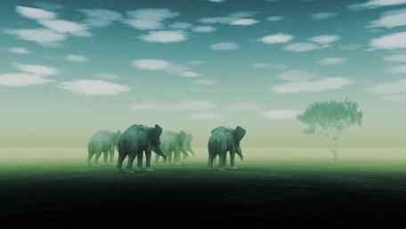 Majestic Elephants in Misty Grassland Scene wallpaper