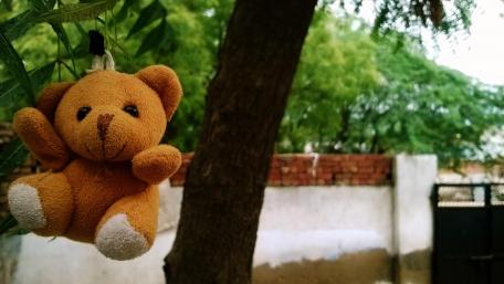 Hanging Around with Teddy Bear Adventures wallpaper