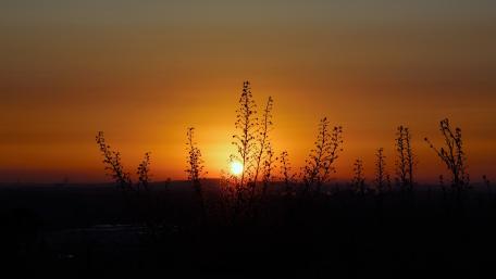 Sunrise in the Ruhr area wallpaper