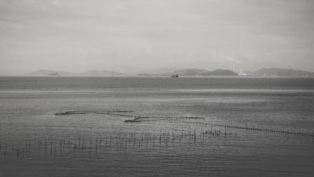 Serene Black and White Seascape wallpaper