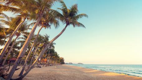 Tropical beach wallpaper