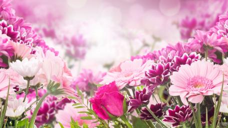 Delightful Pink and Purple Floral Arrangement wallpaper