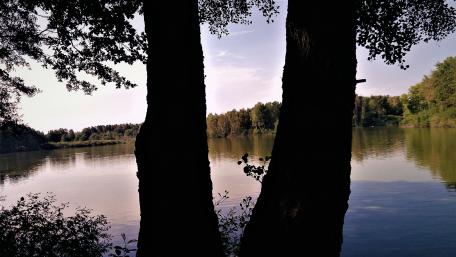 Serene Morning by the Lake wallpaper