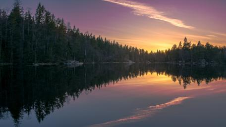 Lakeside forest reflection wallpaper