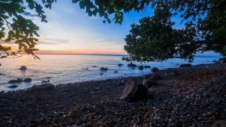 The Colors of Nature wallpaper