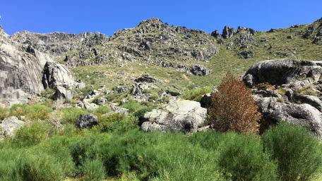 Serra da Estrela, Portugal wallpaper