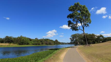 A broad view of Rossiter Park wallpaper