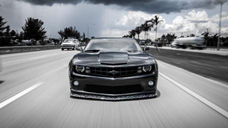 Chevrolet Camaro - Black Mamba wallpaper