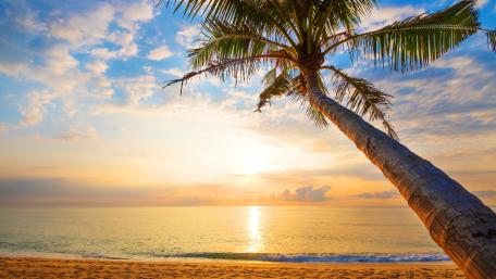 Tropical sunrise wallpaper