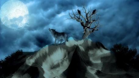 Wolf in the full moon wallpaper