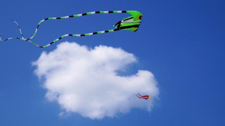 Kite Festival wallpaper
