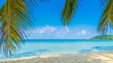 Tropical Paradise Under the Sun wallpaper