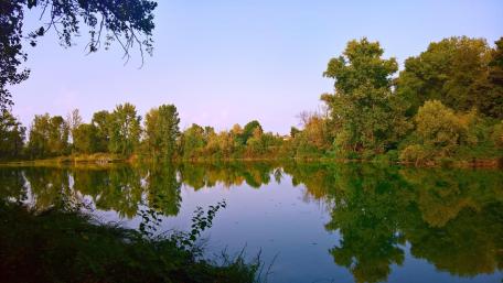 Serene Nature Reflected in Still Waters wallpaper