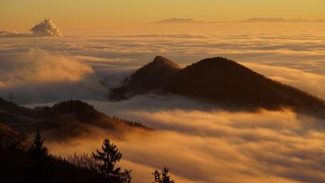 Sea of fog wallpaper