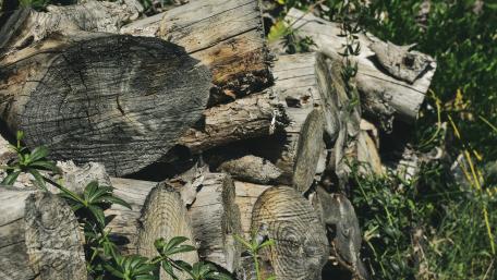 Wood Pile wallpaper
