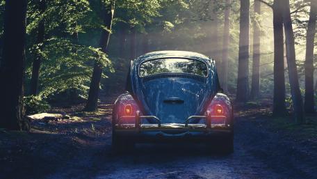 Volkswagen Beetle in the forest wallpaper
