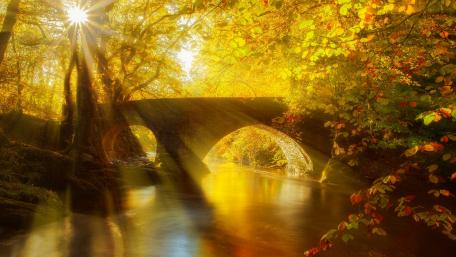 Autumn sunshine wallpaper