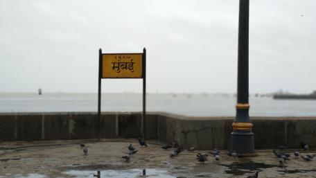 Sea View wallpaper