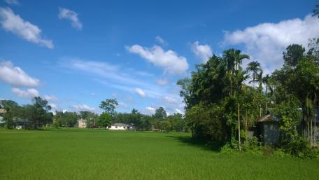 Vibrant Sky Over Serene Grassland Scene wallpaper