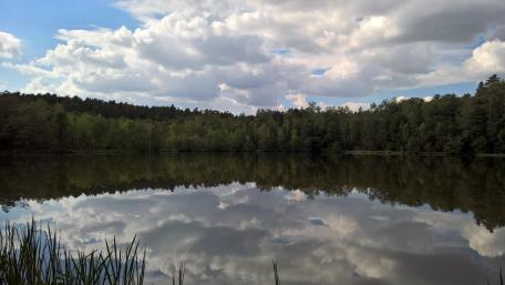 Serene Reflection in Poland's Nature Scene wallpaper