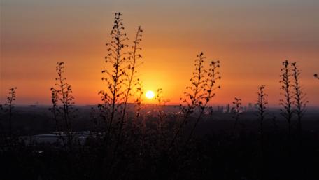 Sunrise in the Ruhr area wallpaper