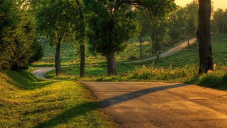Beautiful road in the nature wallpaper
