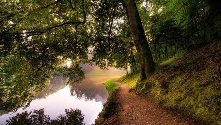 Riverside pathway wallpaper