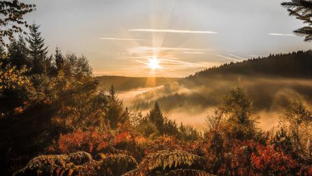 Misty nature at fall wallpaper