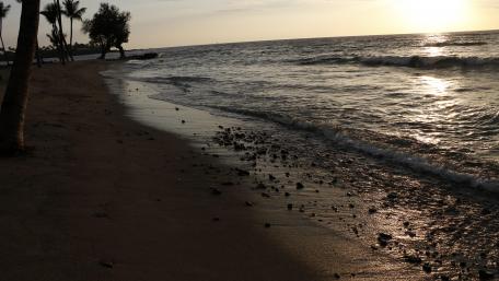 Tranquil Sunset on Sandy Shoreline wallpaper