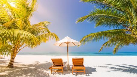 Tropical Escape with Sunbeds and Palms wallpaper