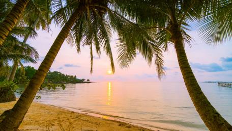 Tropical sunrise wallpaper