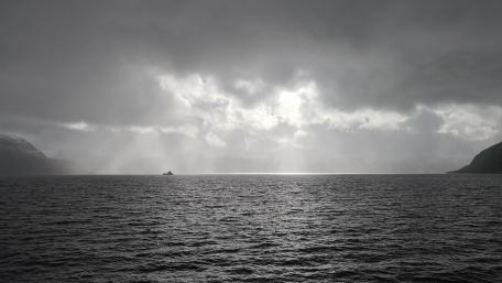 Tranquil Ocean in Black and White wallpaper