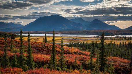 Autumn Serenity by the Mountain Lake wallpaper