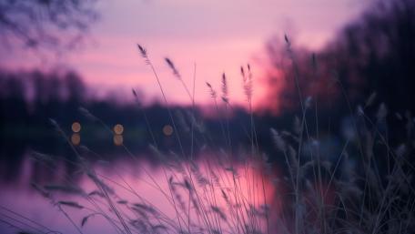 Twilight Serenity in Purple Hues wallpaper