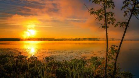 Golden Sunset Over Serene Wetland Scene wallpaper