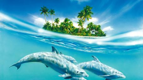 Dolphins wallpaper