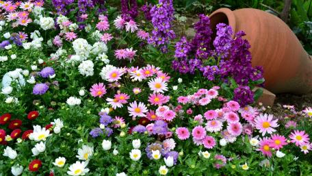 Flower garden wallpaper
