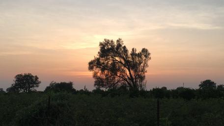 Indian Village wallpaper