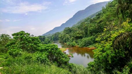 Kelani River - Sri Lanka wallpaper