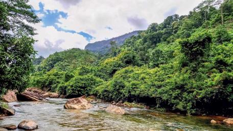 We Oya River - Yatiyanthota, Sri Lanka wallpaper
