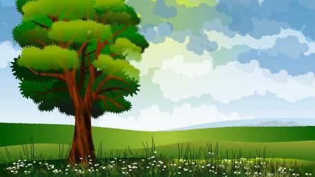 Fantasy field wallpaper