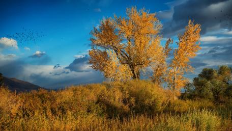 Autumn landscape wallpaper