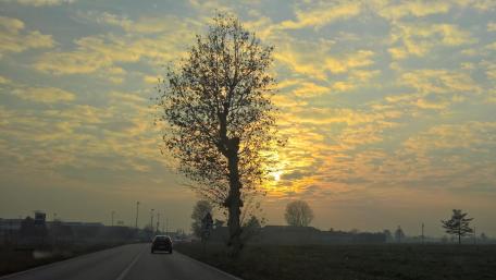 Golden Sunset on a Tranquil Roadway wallpaper