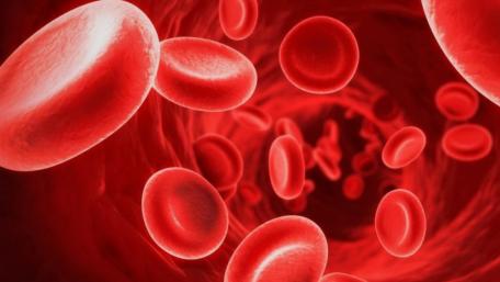 Blood wallpaper