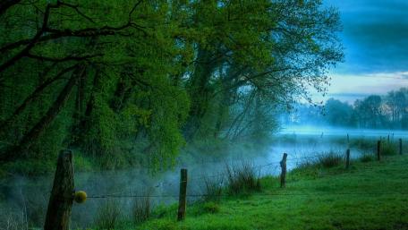 Morning mist wallpaper
